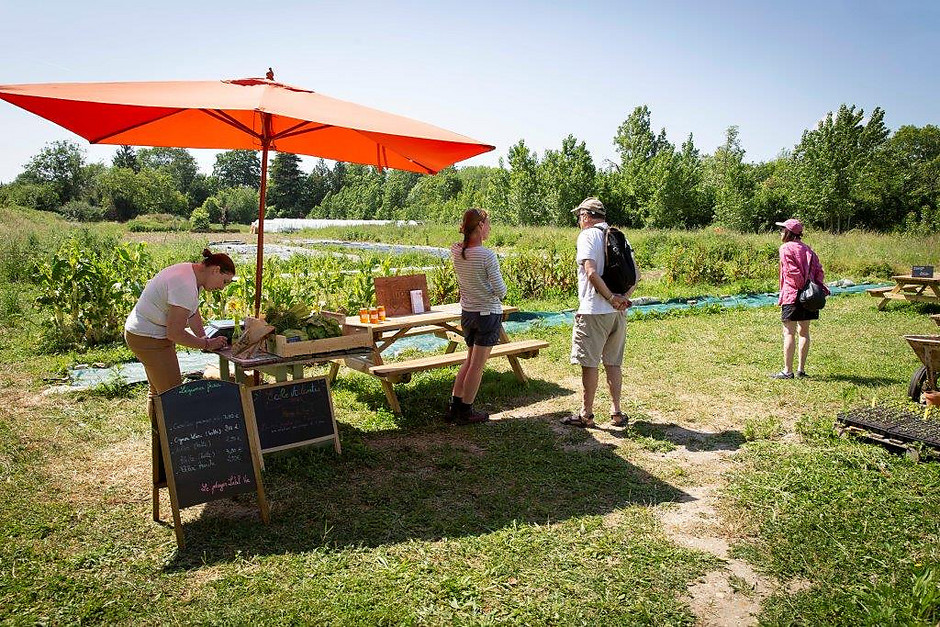 Potager Label ville  - voir en plus grand : (fenêtre modale)