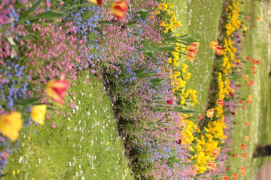 Sols fleuris et arbustes à Cergy - voir en plus grand : (fenêtre modale)